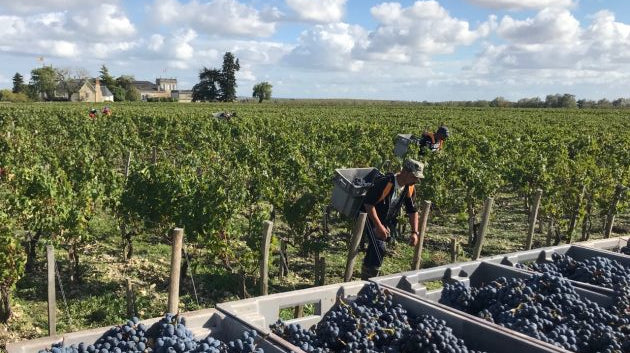 October is Wine Month