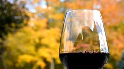 Fall in love with Cavavin’s Autumnal Reds