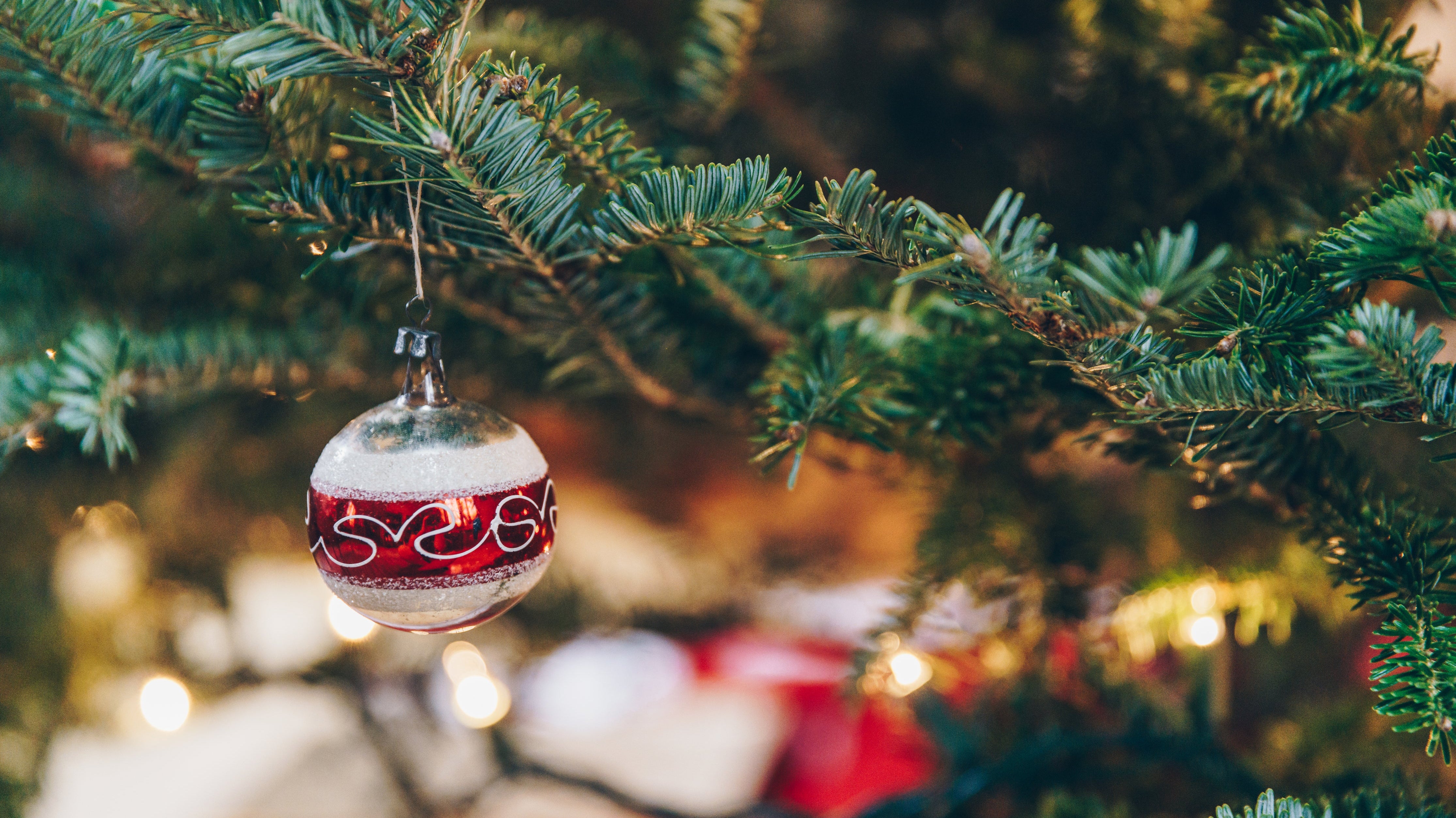 Cavavin’s Christmas Classics