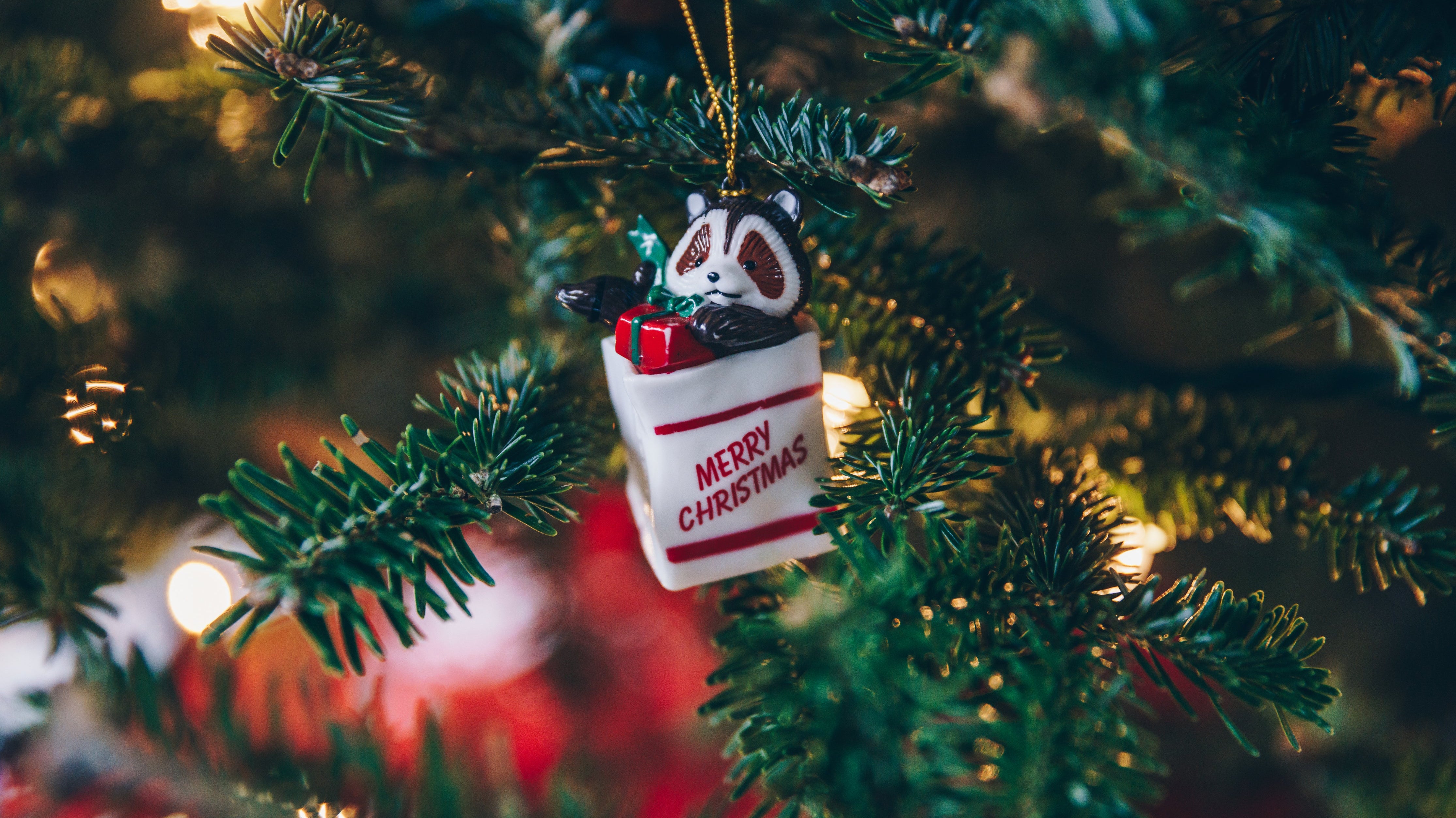 How to Buy Wine this Christmas