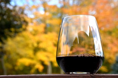 Fall in love with Cavavin’s Autumnal Reds