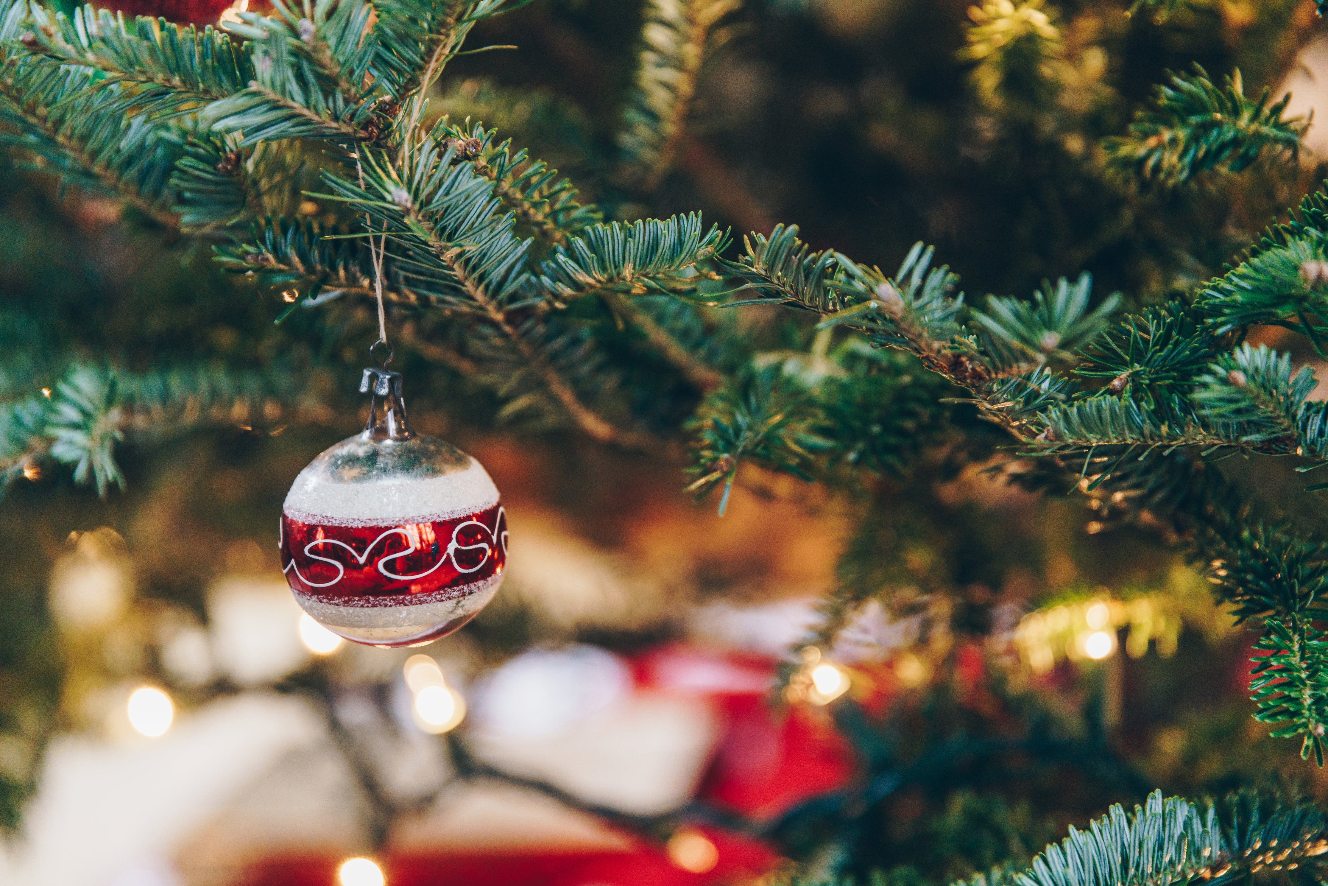 Cavavin’s Christmas Classics